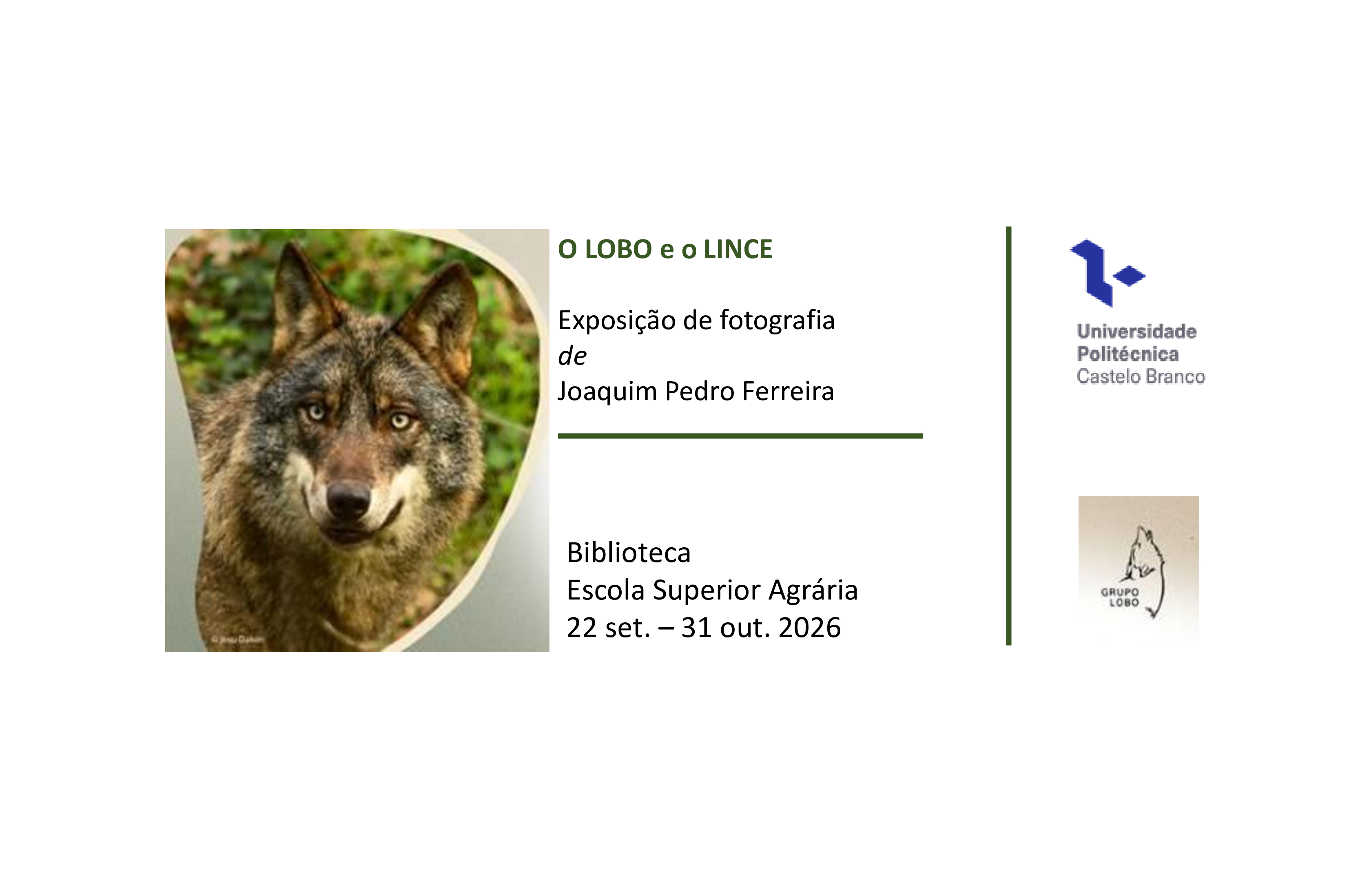 Destaque-6
