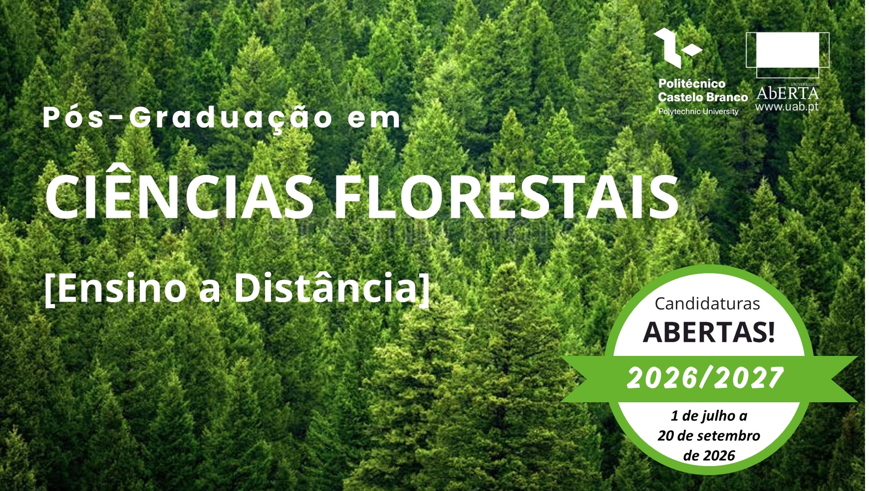 Destaque-1