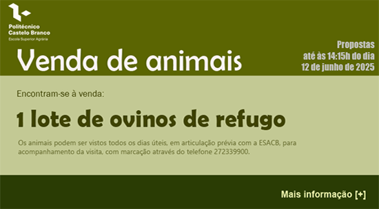 Destaque-0