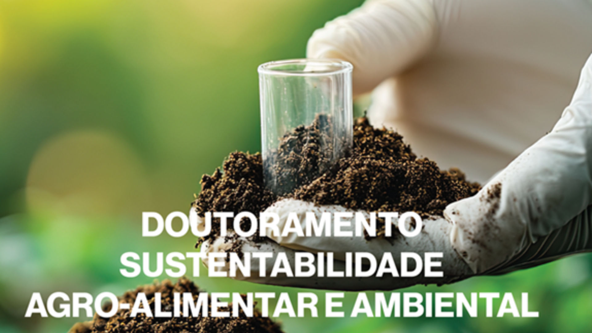 Destaque-3