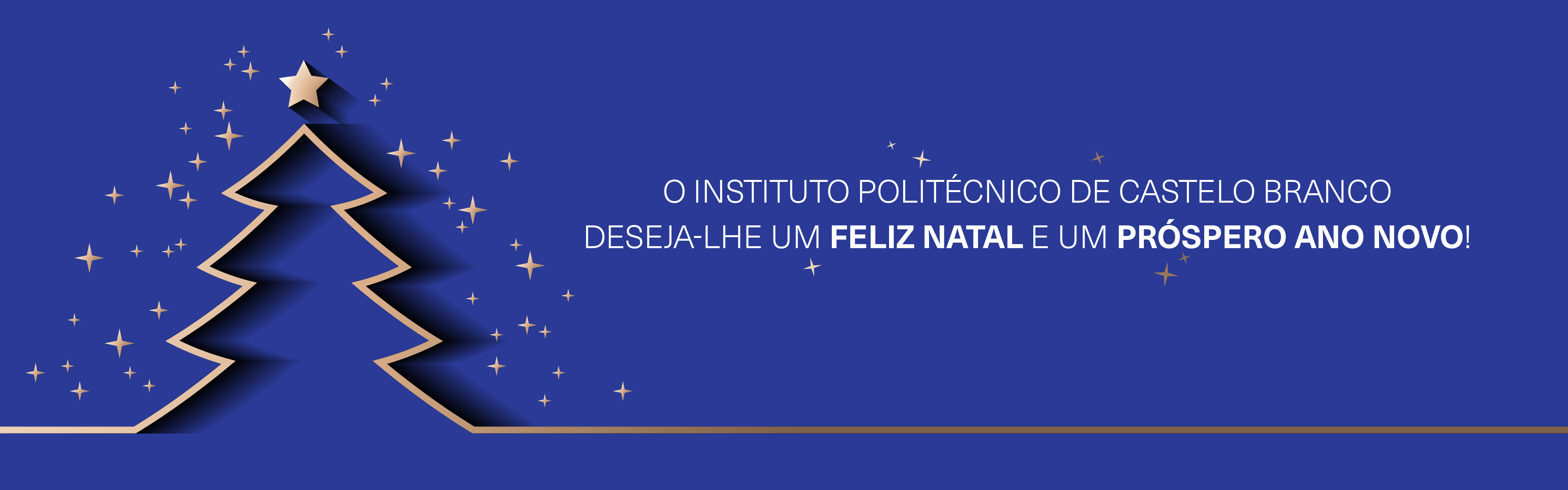 Postal 2025 Redes Banner 1920X600