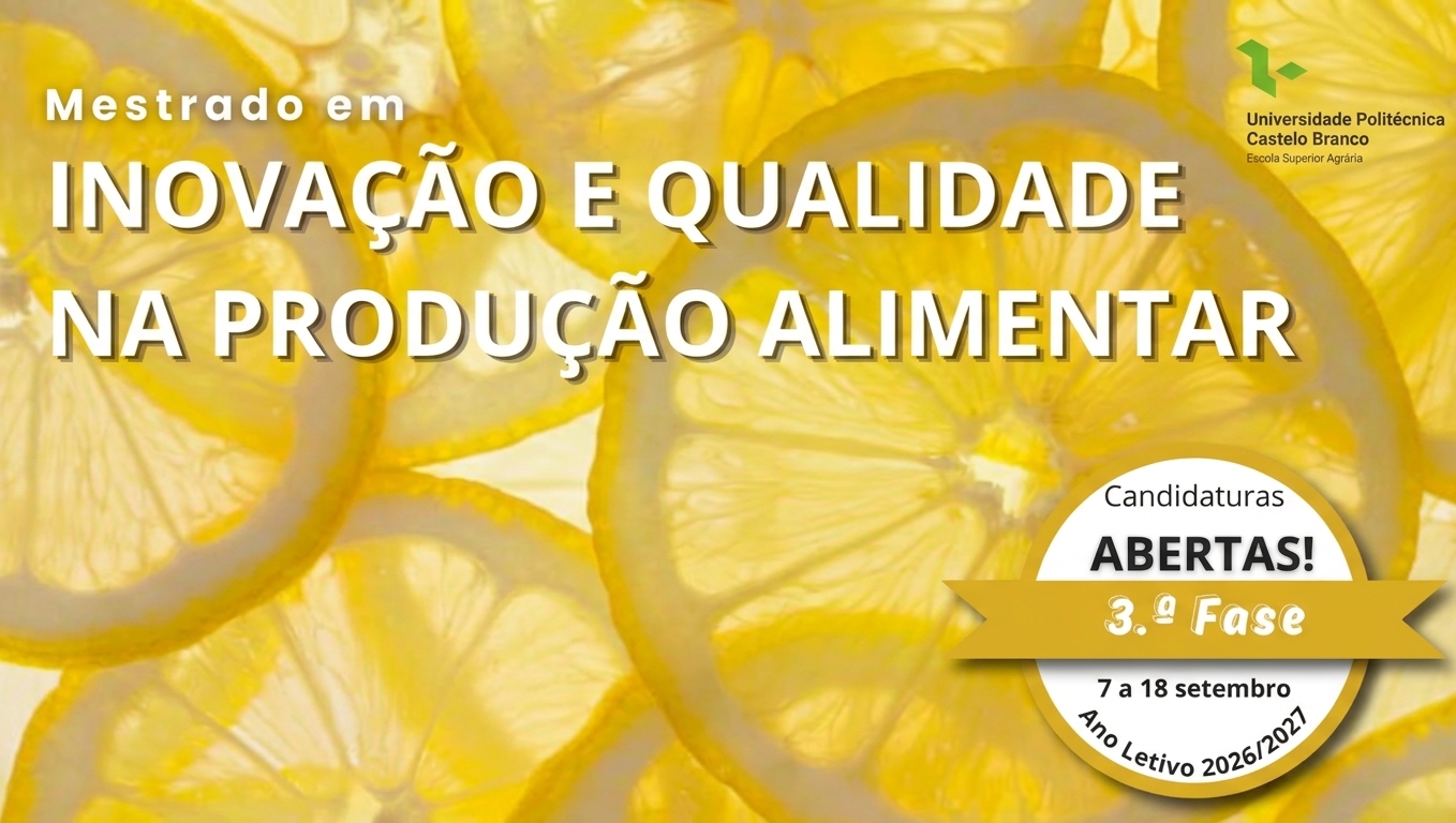 Destaque-3